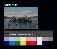 藏品(日月潭風景明信片：浮島)的圖片